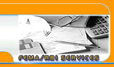 FEMA & RBI Related Services